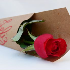 Rosa Carola com Mensagem