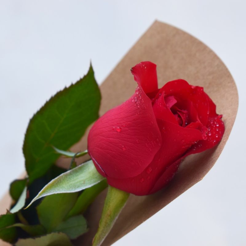 4DSC_0259