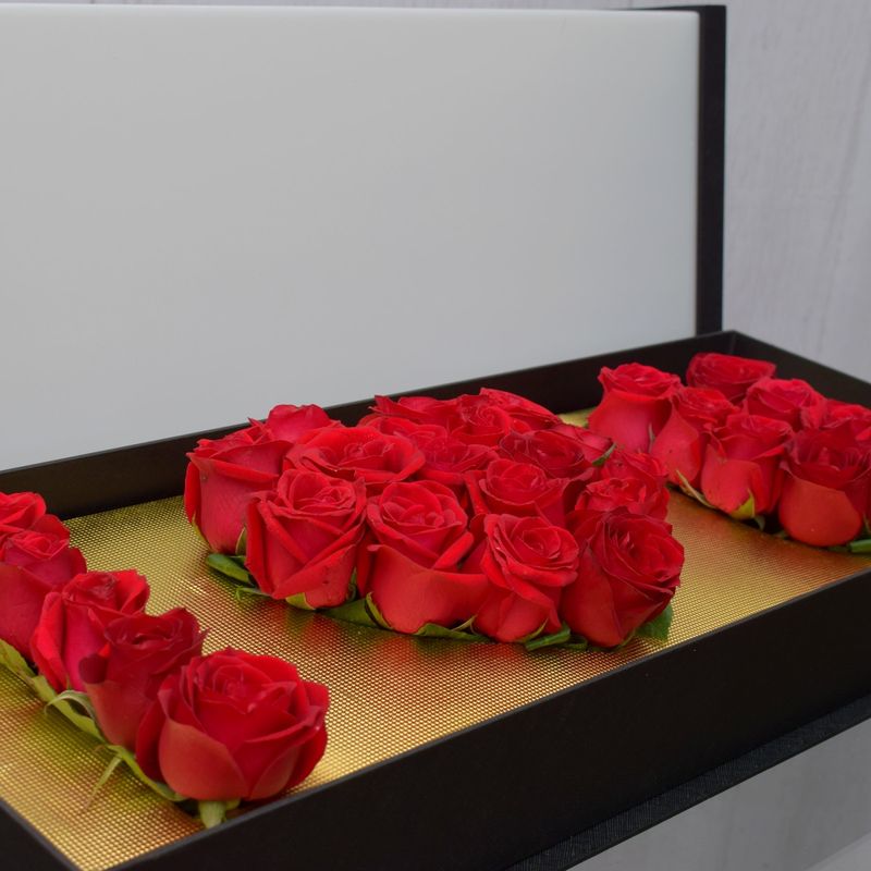 5DSC_0081