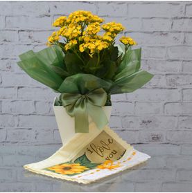 Vaso Cores e Flores C/ Toalha I Love You