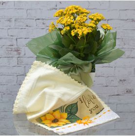 Vaso Cores e Flores C/ Toalha I Love You
