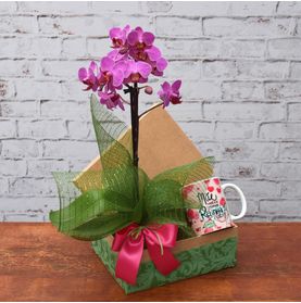 Kit Um Mimo Para Ela (com Caneca)