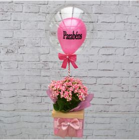Encanto de Flores e Cores No Cachepot C/ Bubble Parabéns
