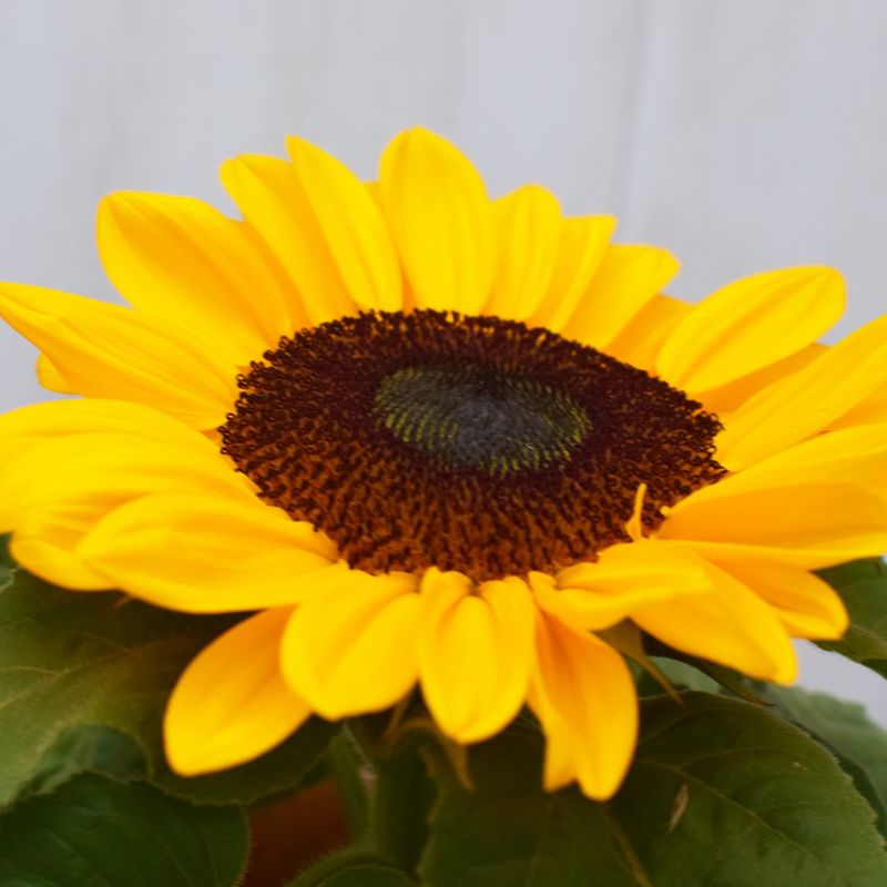 4DSC_0020