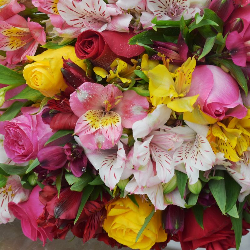 buque-cores-e-flores-4