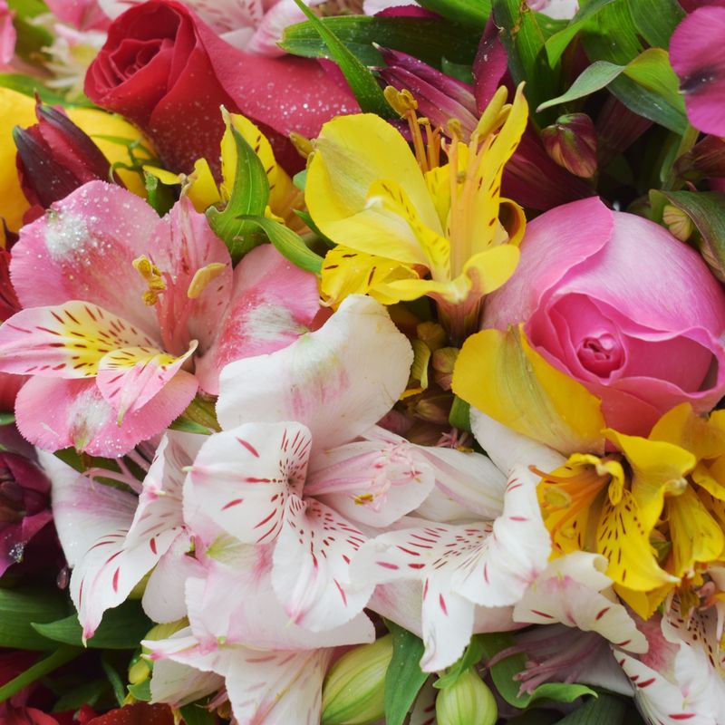 buque-cores-e-flores-5