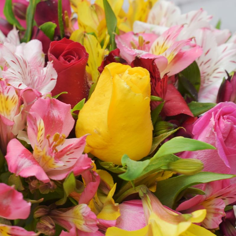 buque-cores-e-flores-6