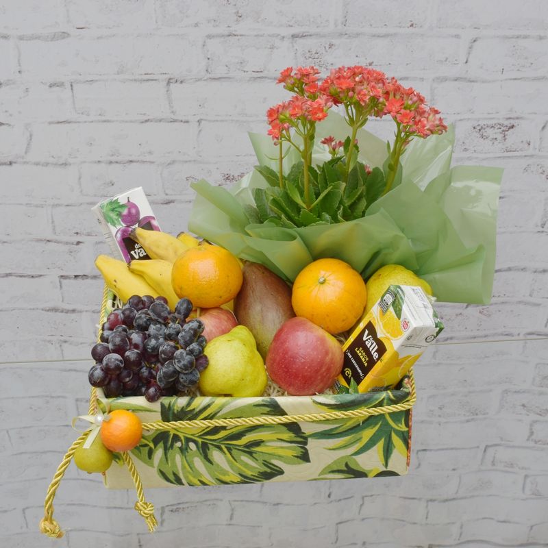 CAIXA-DE-FRUTAS-PARA-UMA-PESSOA-SOFISTICADA-1