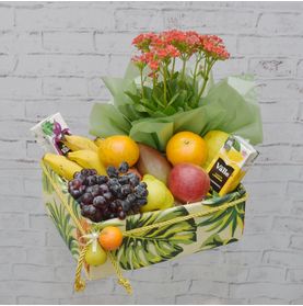 Caixa de Frutas Para Uma Pessoa Sofisticada C/kalanchoe