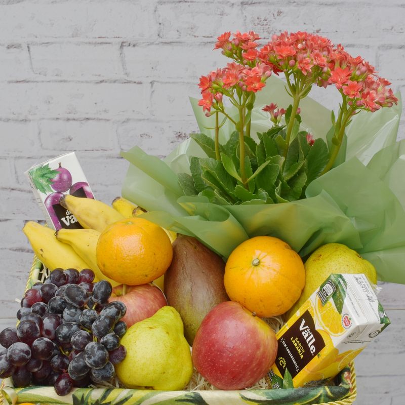 CAIXA-DE-FRUTAS-PARA-UMA-PESSOA-SOFISTICADA-5