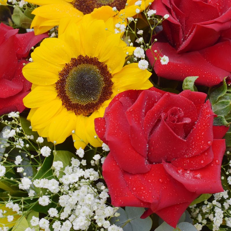 CASAMENTO-PERFEITO-DE-ROSA-E-GIRASSOL-5
