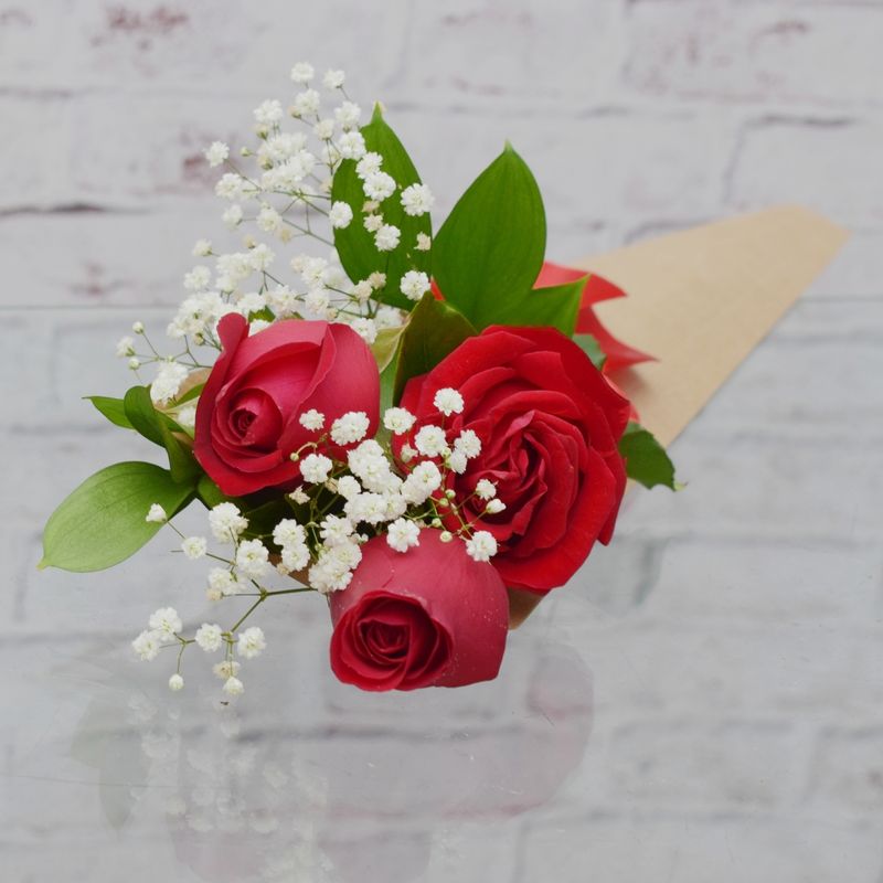 cone-de-rosas-para-quem-quero-bem--1-