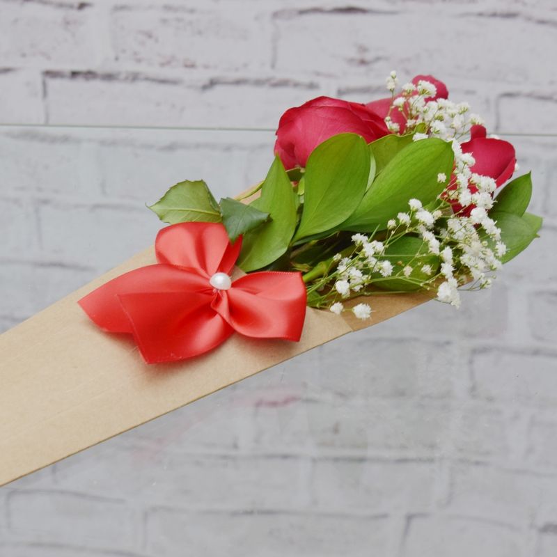 cone-de-rosas-para-quem-quero-bem--3-