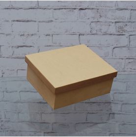 Caixa Retangular 20x25x10