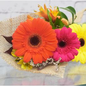 Flores Simples Felicidade