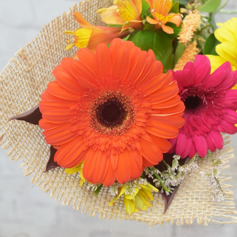 FLORES-SIMPLES-FELICIDADE-6