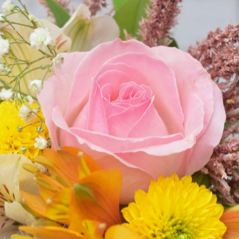 FLORES-DO-CAMPO-PERFUMDAS-PRA-VOCE-6