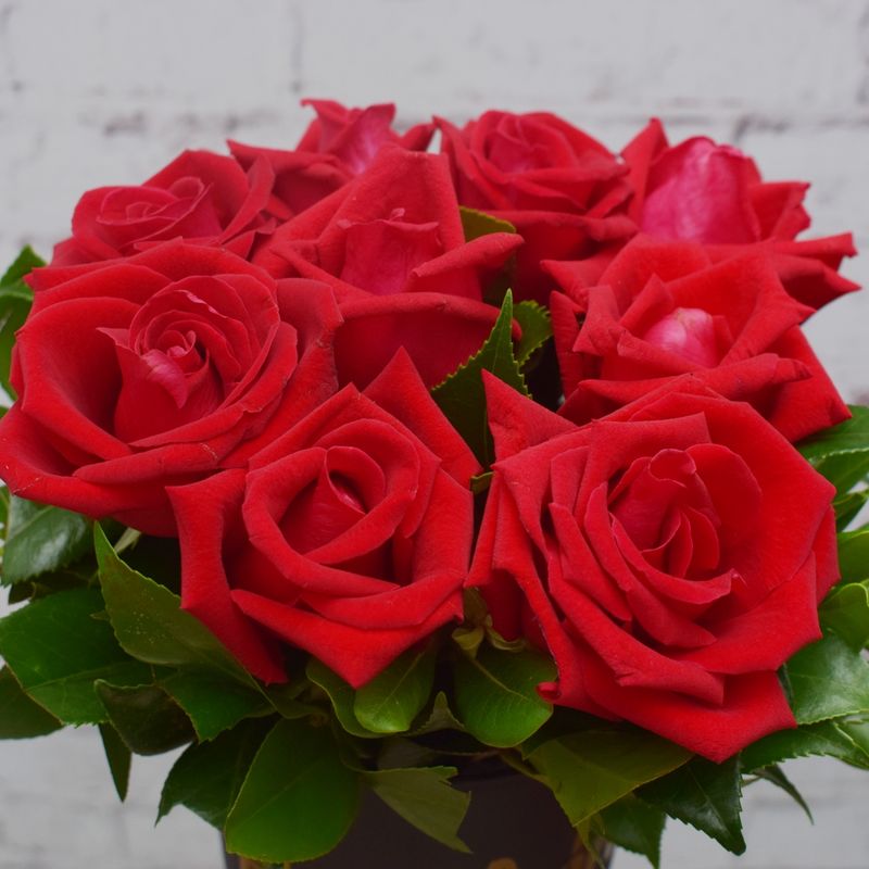 ARRANJO-LOUISE-9-ROSAS-CAROLAS-2