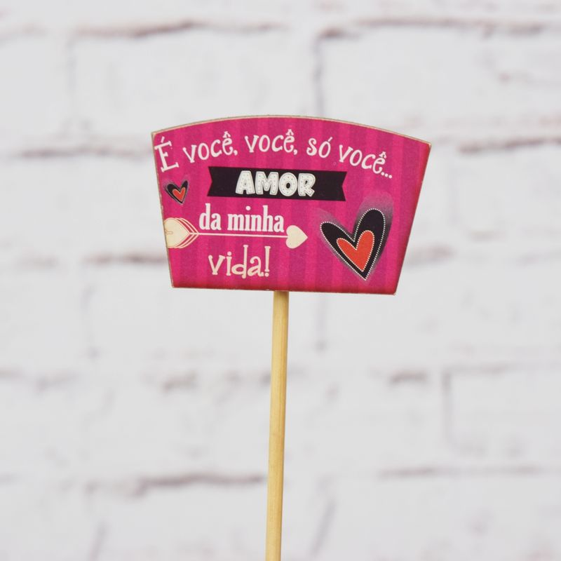 AMOR-DA-MINHA-VIDA-1