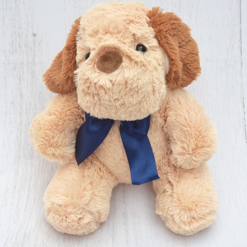 CACHORRO-AU-AU-P-LACO-AZUL-04