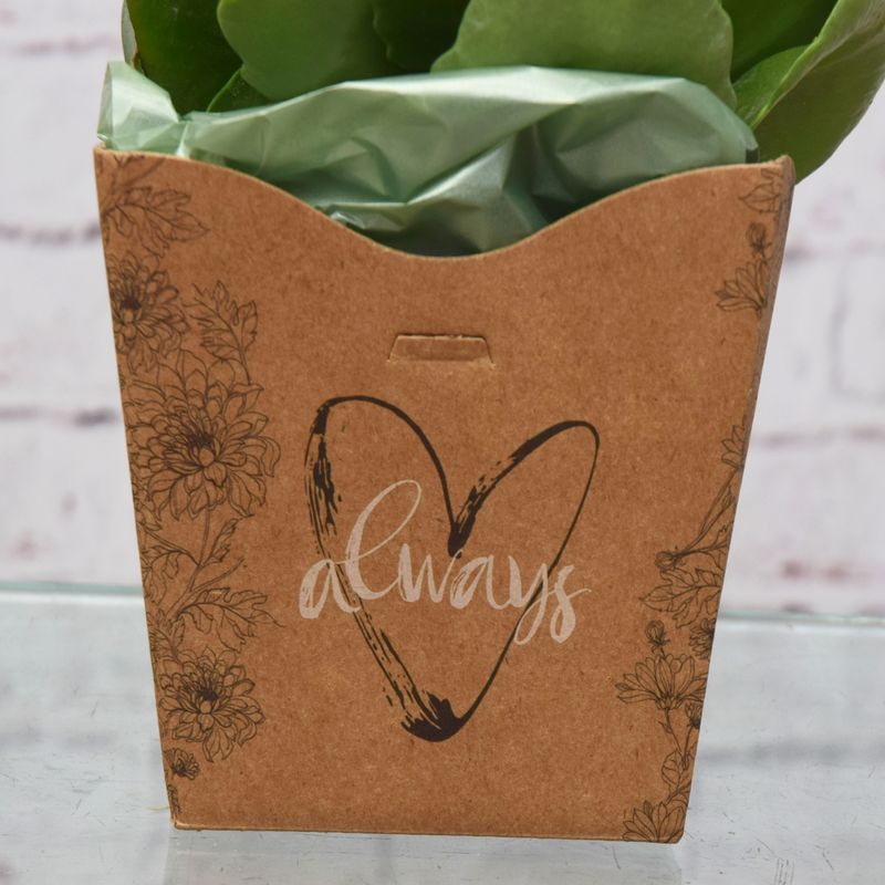 kalandiva-always-amor-no-cachepo-04