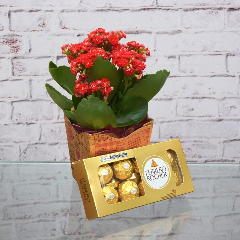 kalandiva-amor-no-cachepo-com-ferrero-rocher-para-entregar-02