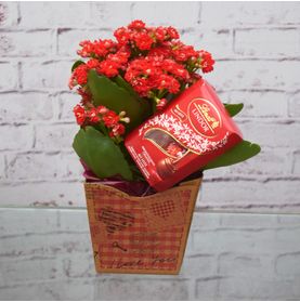 Kalandiva Amor No Chachepô C/lindt Para Entregar