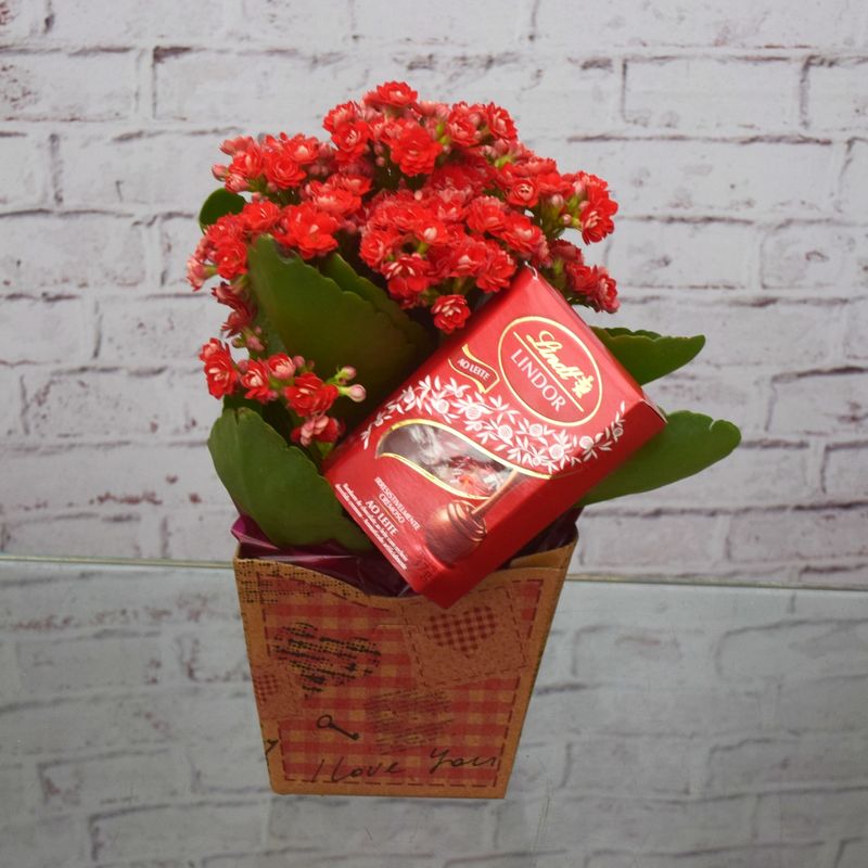kalandiva-amor-no-cachepo-com-lindt-para-entregar-02