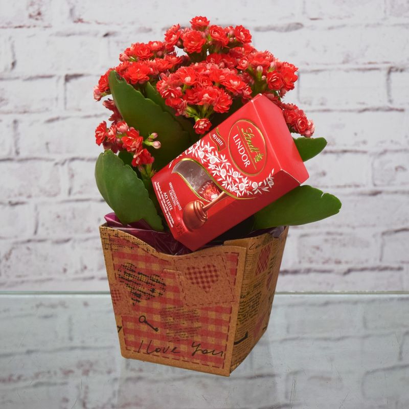 kalandiva-amor-no-cachepo-com-lindt-para-entregar-03