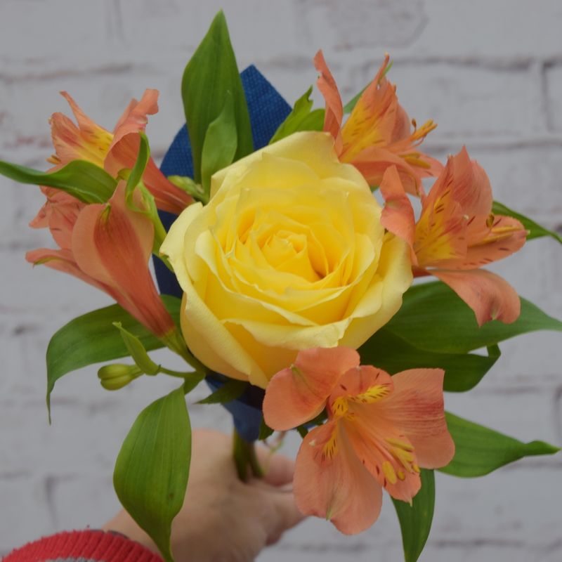 astromelia-e-rosa-amarela-mix-de-alegria-1
