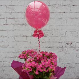 Flores com Mini Buble Pink Para Oferecer com Amor