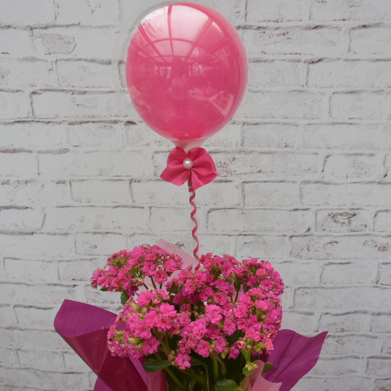 flores-com-mini-buble-pink-para-oferecer-com-amor-2