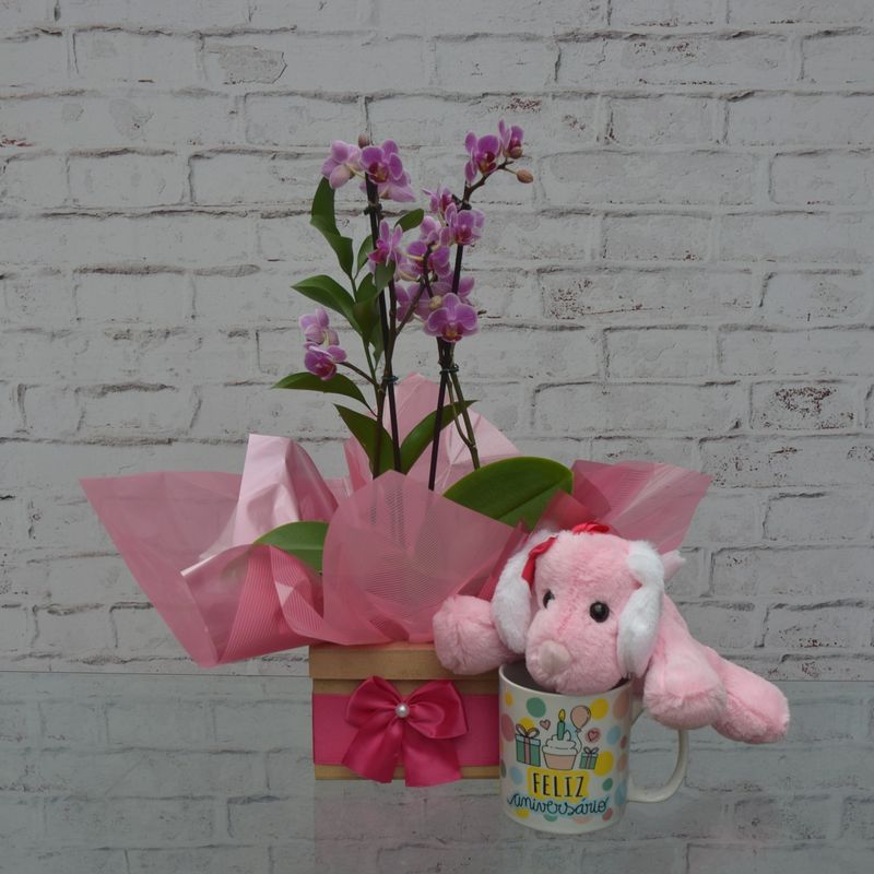 kit-mini-orquidea-bela-com-caneca-e-pelucia-1