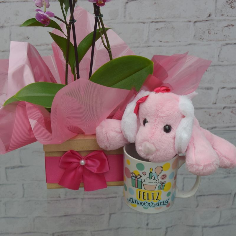 kit-mini-orquidea-bela-com-caneca-e-pelucia-4