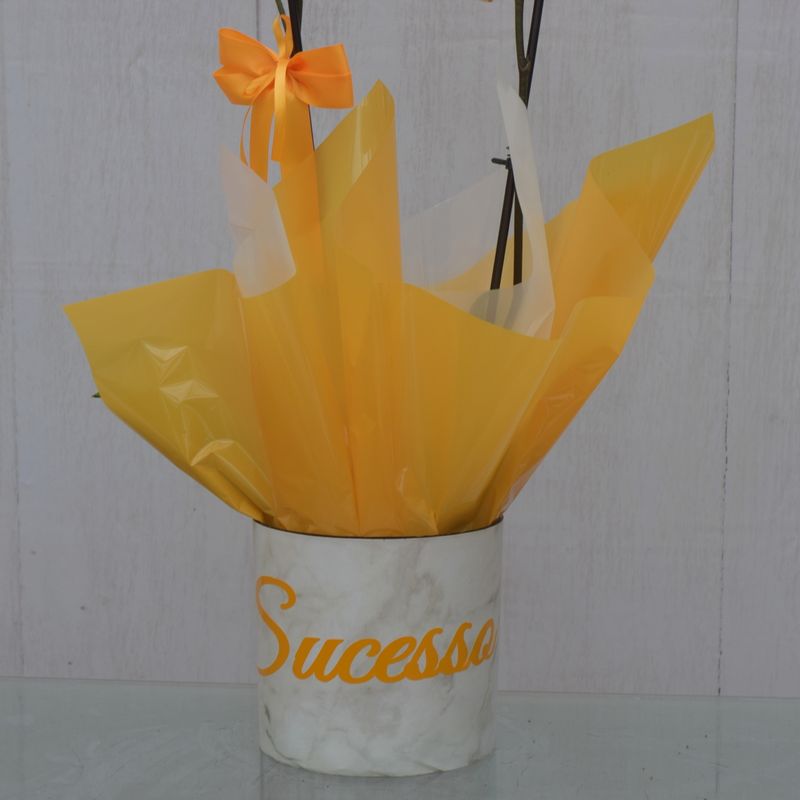 orquidea-amarela-desejo-sucesso-pra-voce-3