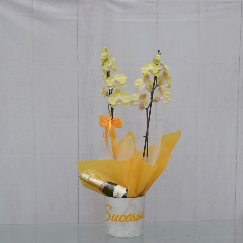 orquidea-amarela-desejo-sucesso-pra-voce-com-mini-chandon-1