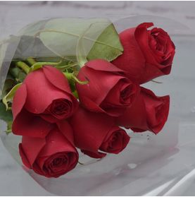 Maço de 6 Rosas Nacionais Para Presentear