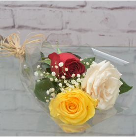 Maço de 3 Rosas Nacionais Coloridas Para Presentear