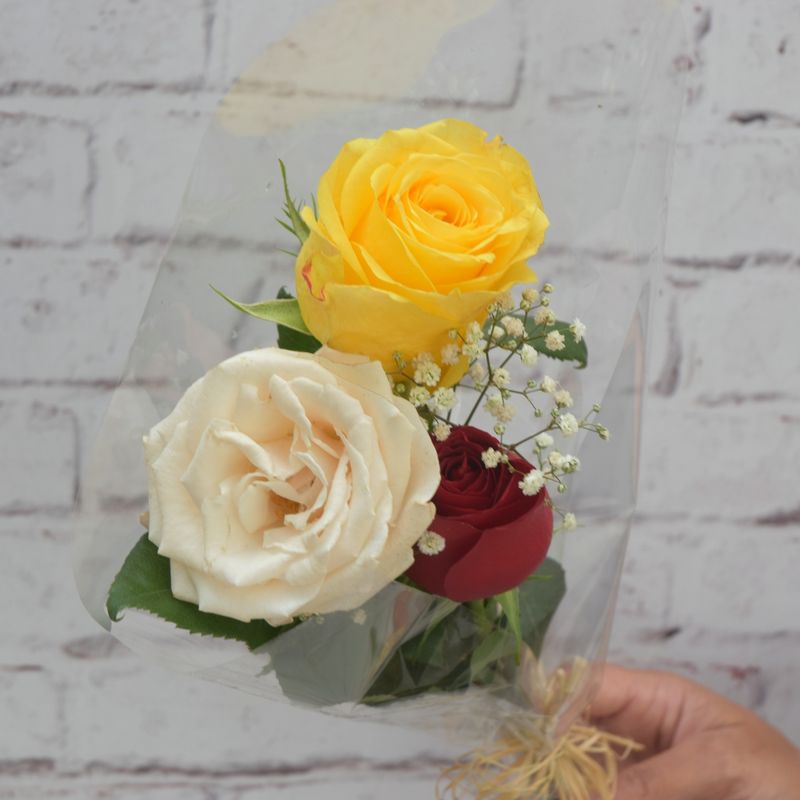 maco-de-3-rosas-nacionais-coloridas-para-presentear-4