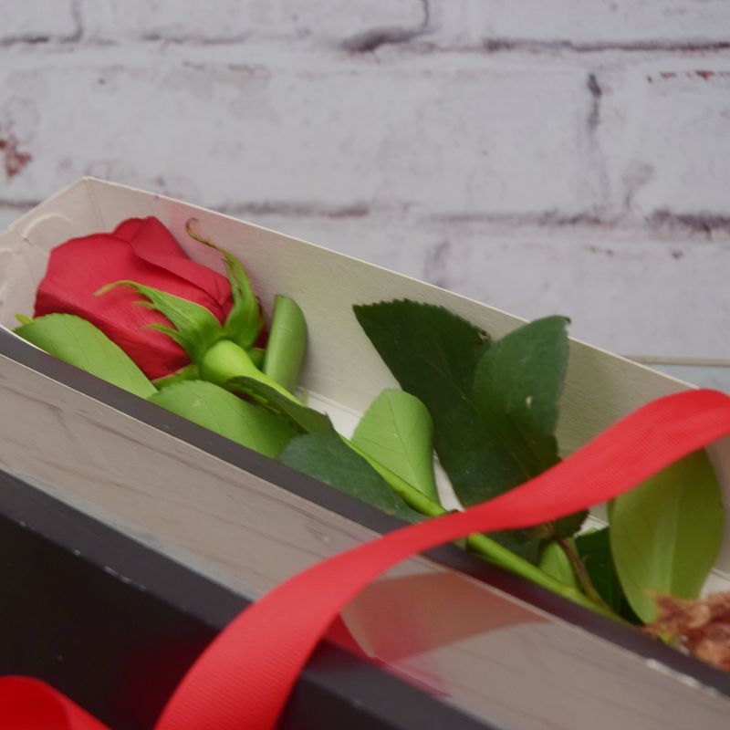 rosa-carola-sofisticada-4