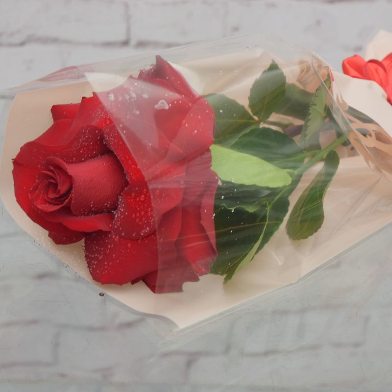 rosa-colombiana-sofisticada-para-presente-3