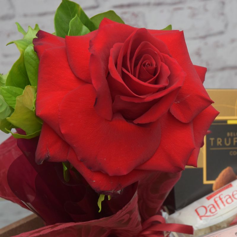 kit-de-vinho-chocolates-e-rosa-colombiana-para-conquistar-uma-linda-mulher-5