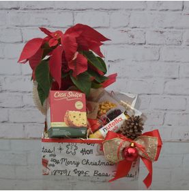 Cesta de Natal com Oleaginosas Amanteigados e Panetone Para Presentear Um Amigo