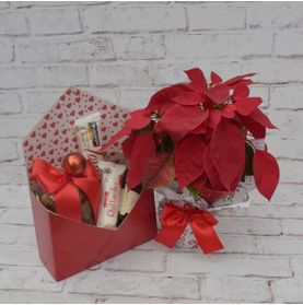 Kit Natal com Mini Chocotone e Chandon com Carinho Pra Você