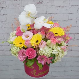 Arranjo de Gerberas Astromerias Hortencias para Homenagear Uma Jovem
