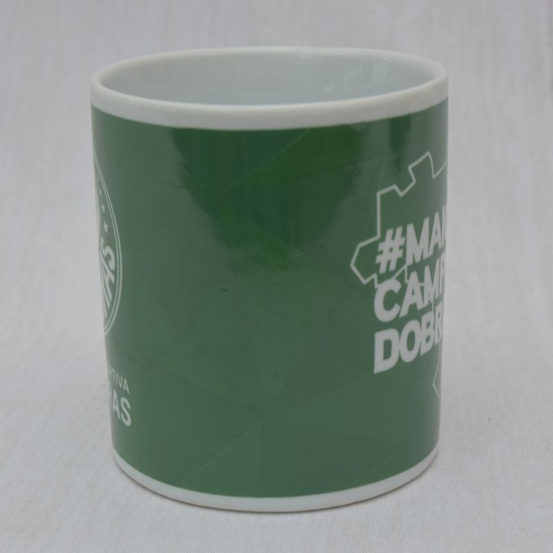 CANECA--PALMEIRAS-2
