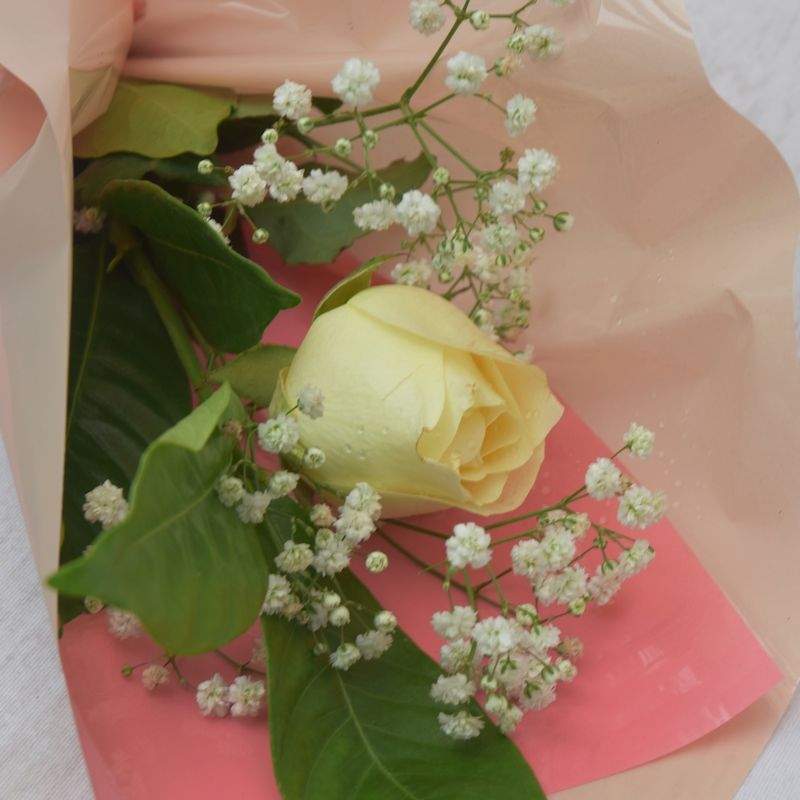 rosa-carola-decorada-com-gypsofila-3.jpg