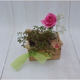 Arranjo Mini Jardim de Rosa