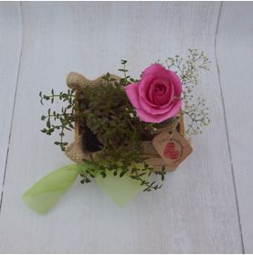 Arranjo Mini Jardim de Rosa