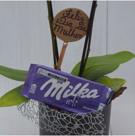 Mini Orquidea Lilás No Cachepô com Milka Especial Dia da Mulher